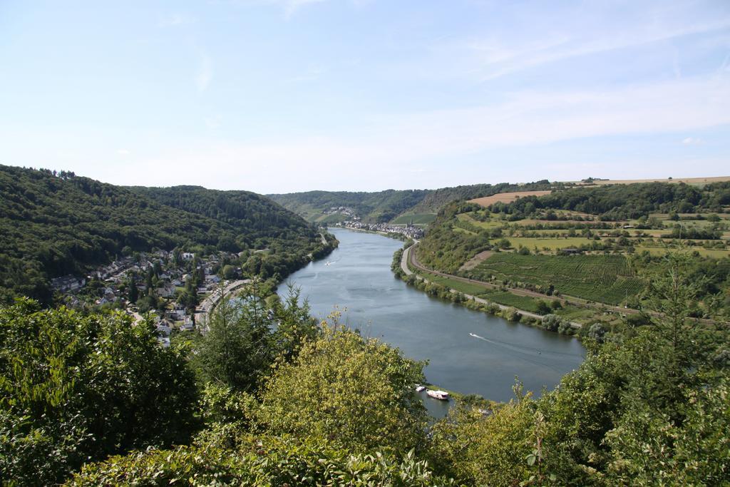 Ferienwohnungen Im Moseltal Löf Kültér fotó