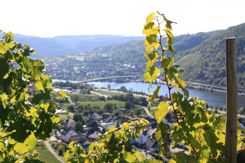 Ferienwohnungen Im Moseltal Löf Kültér fotó