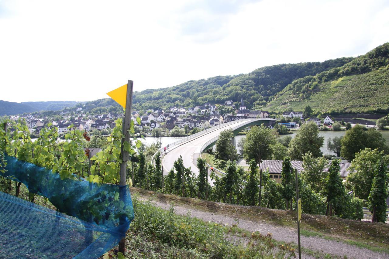 Ferienwohnungen Im Moseltal Löf Kültér fotó